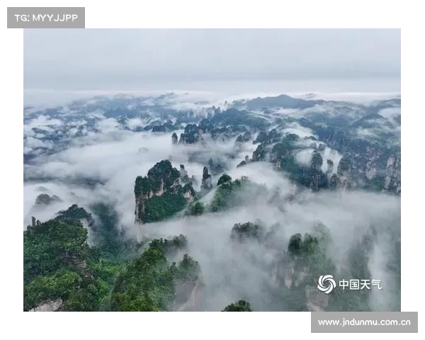 张家界国家森林公园云海如泼墨画卷翻涌自然奇观展现无尽壮丽景色 张家界国家森林公园云海如泼墨画卷翻涌自然奇观展现无尽壮丽景色